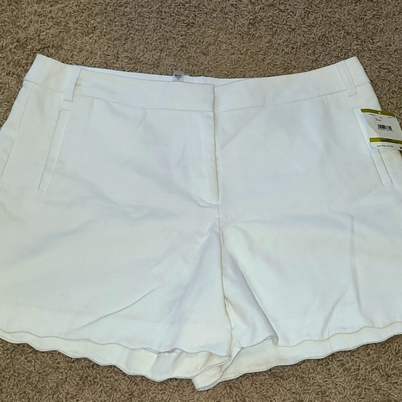 anne klein scalloped shorts